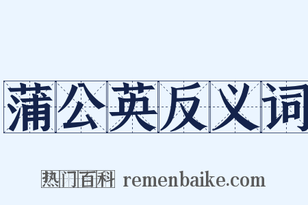 蒲公英反义词是什么意思的图片